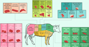 Teilstücke vom Rind / Wo liegt welches Steak?